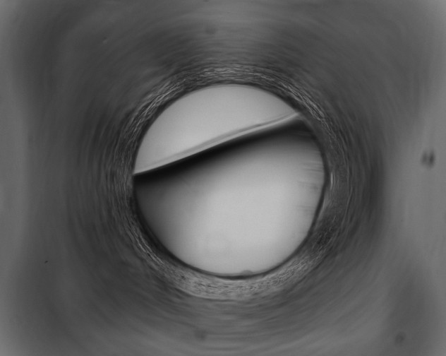 X0000100920048200806241124