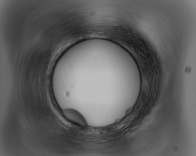 X0000100920049200806241123
