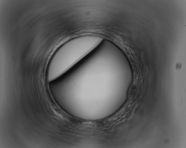 X0000100920050200806241123