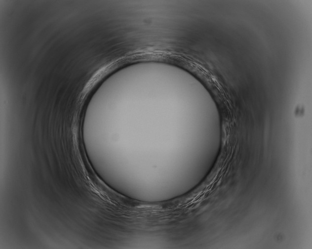 X0000100920051200806241123