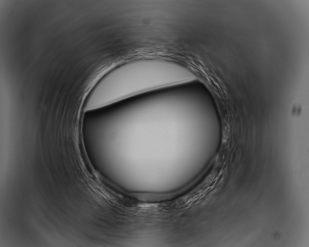 X0000100920052200806241123