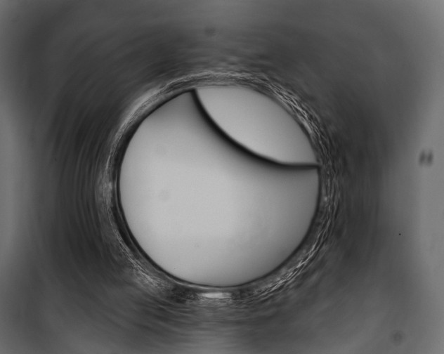 X0000100920053200806241123