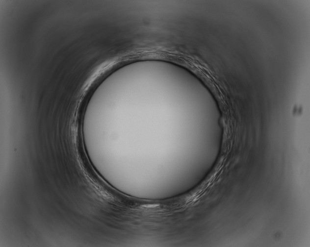 X0000100920054200806241123