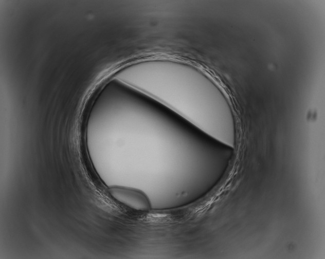 X0000100920055200806241123