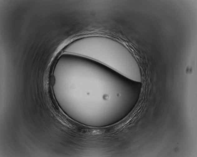 X0000100920056200806241123