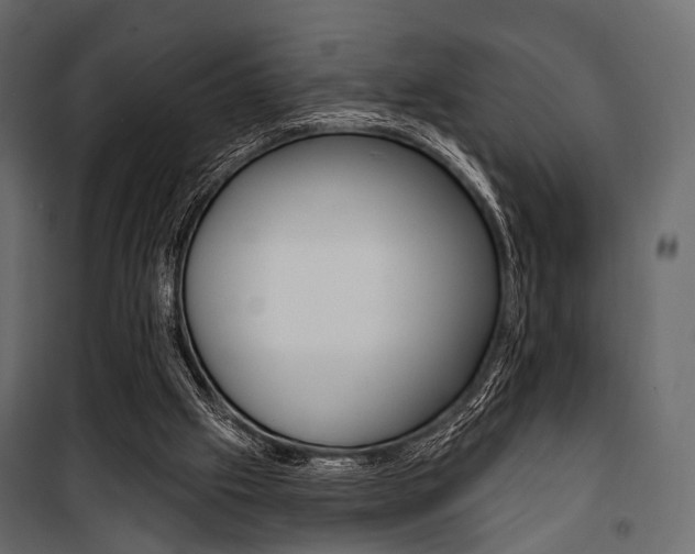 X0000100920057200806241123