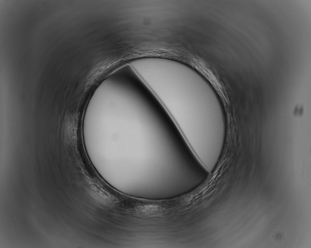X0000100920058200806241123