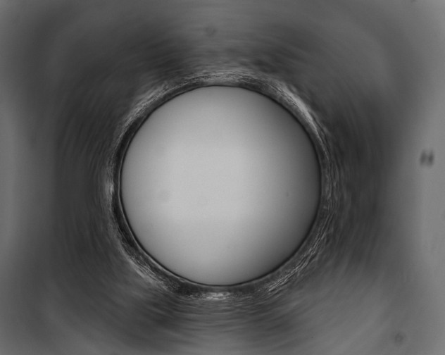 X0000100920059200806241123
