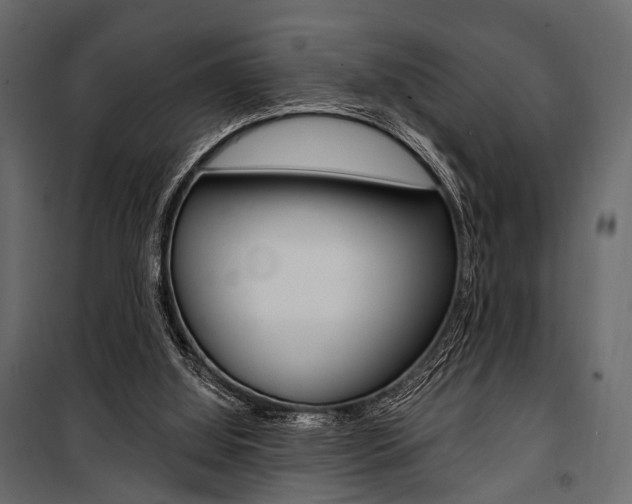 X0000100920060200806241123