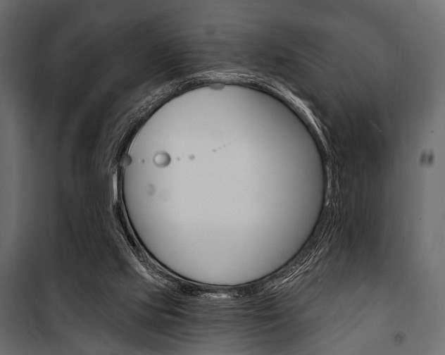 X0000100920061200806241123
