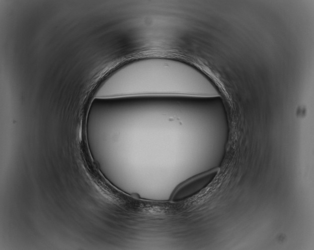 X0000100920062200806241123