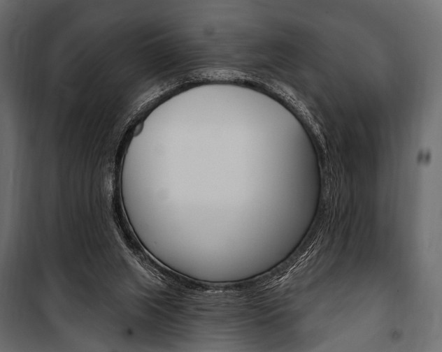 X0000100920063200806241123