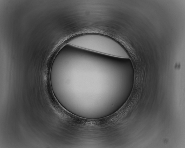 X0000100920064200806241123