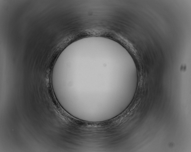 X0000100920065200806241123