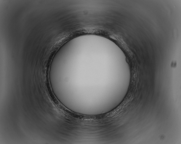 X0000100920066200806241123