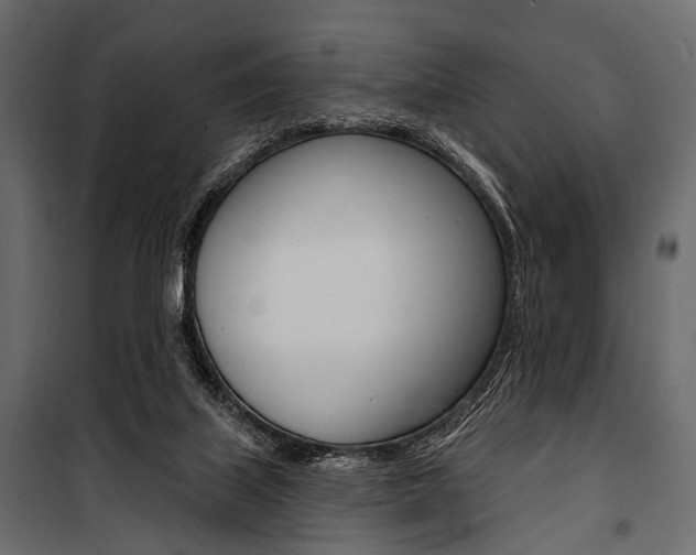 X0000100920067200806241123