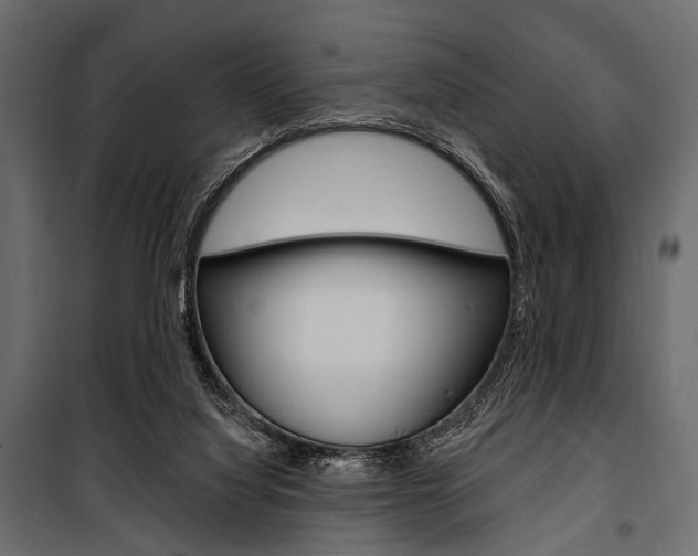 X0000100920068200806241123