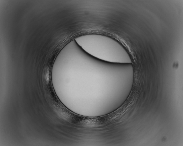 X0000100920069200806241123