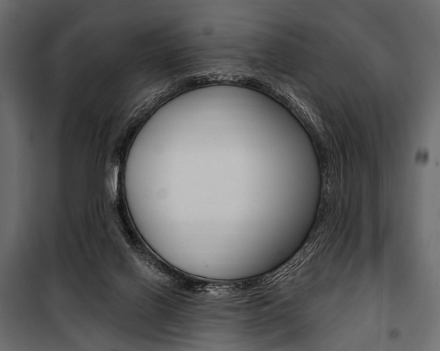 X0000100920070200806241123