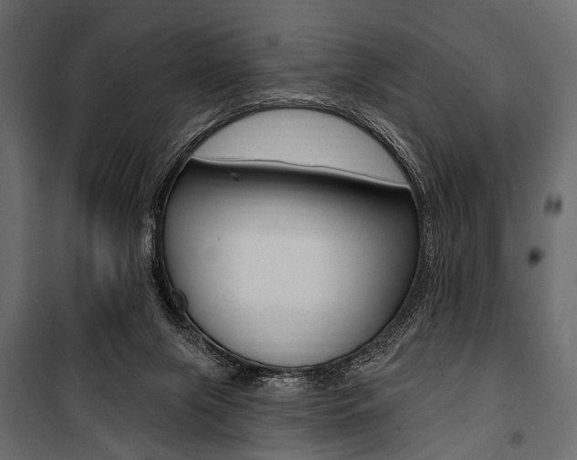 X0000100920071200806241123