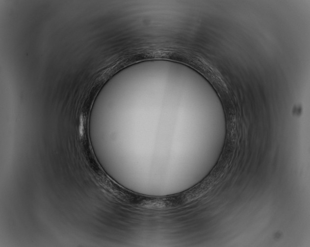 X0000100920075200806241123