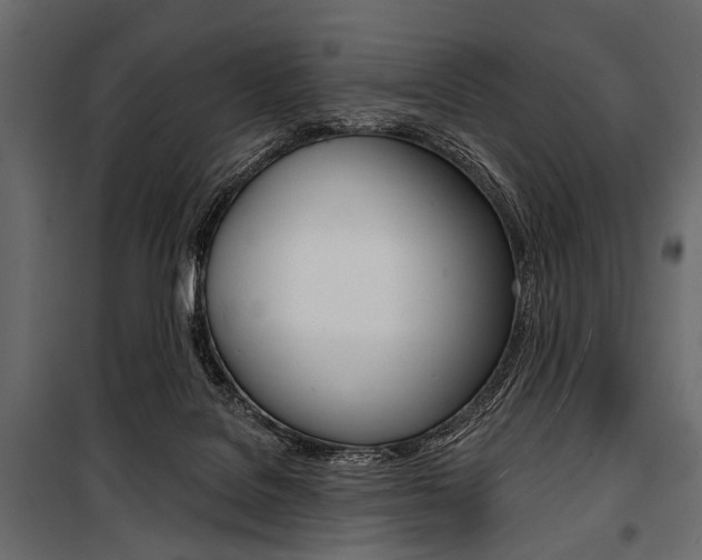 X0000100920076200806241123