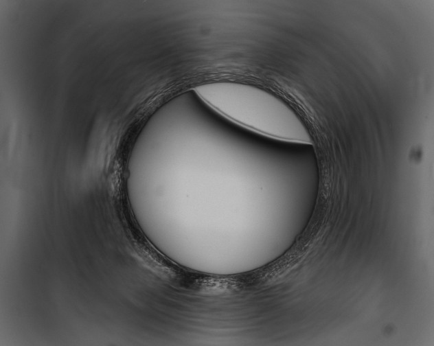 X0000100920077200806241123