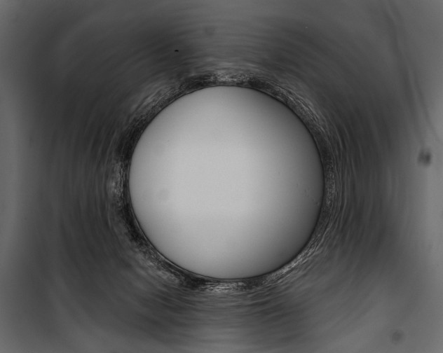 X0000100920078200806241123