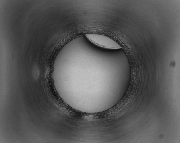 X0000100920079200806241123