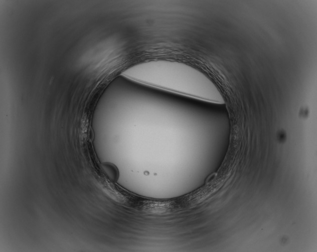 X0000100920081200806241123