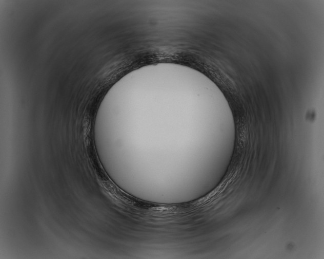 X0000100920082200806241123