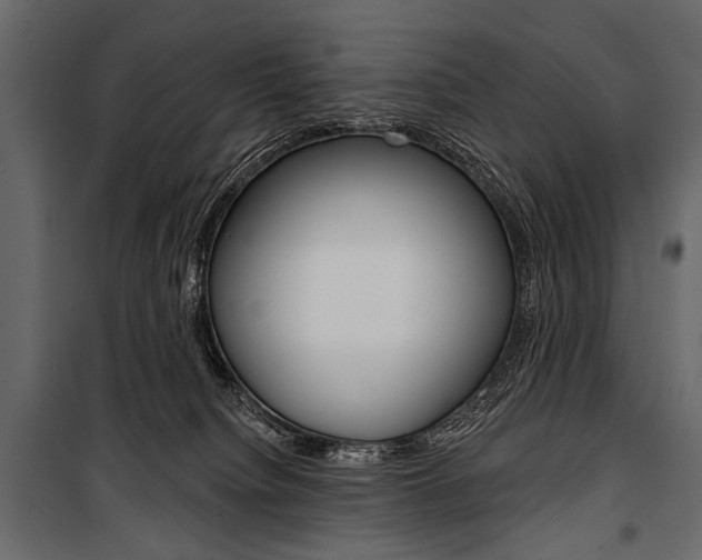 X0000100920084200806241123