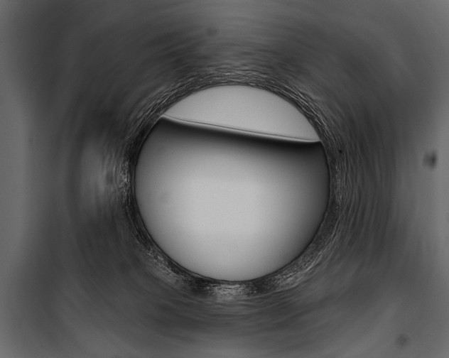 X0000100920085200806241123