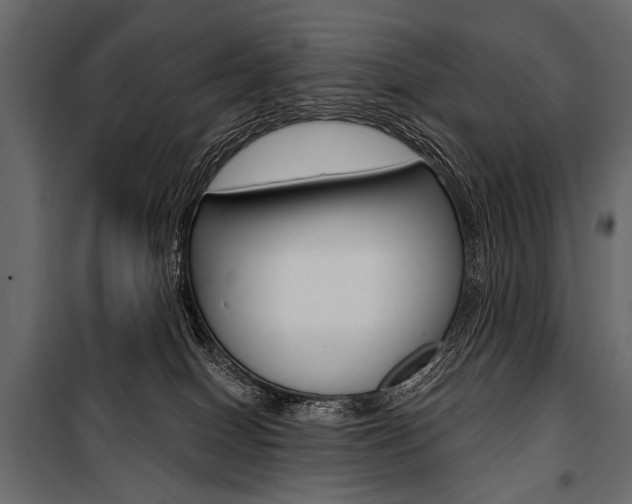 X0000100920086200806241123