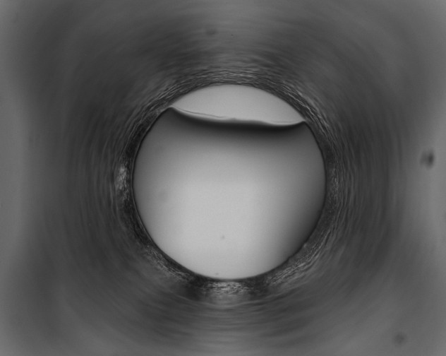 X0000100920087200806241123
