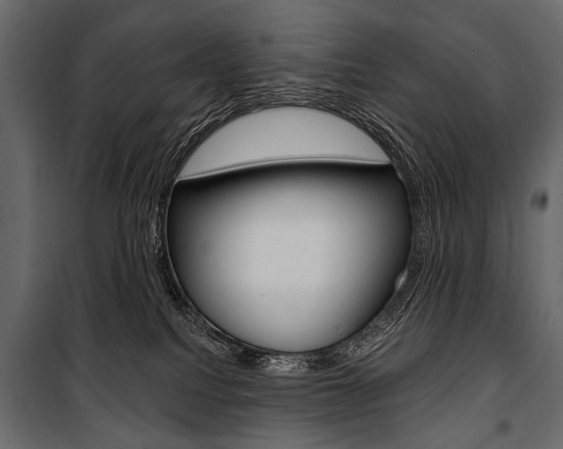 X0000100920088200806241124