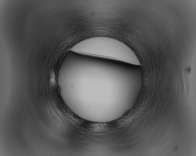 X0000100920089200806241124