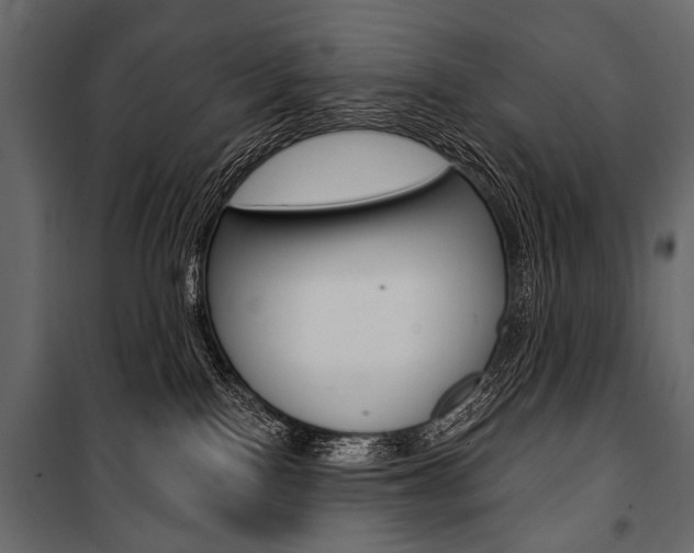 X0000100920090200806241124