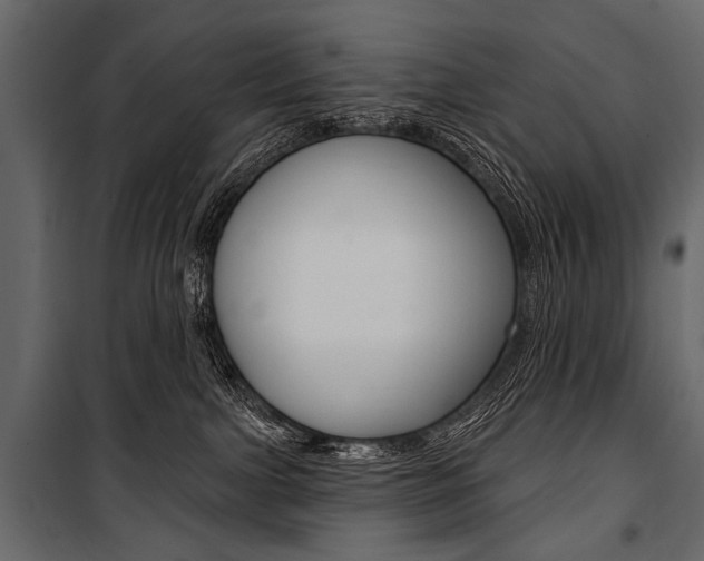 X0000100920091200806241124