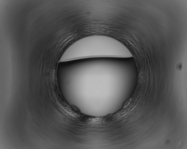 X0000100920092200806241124