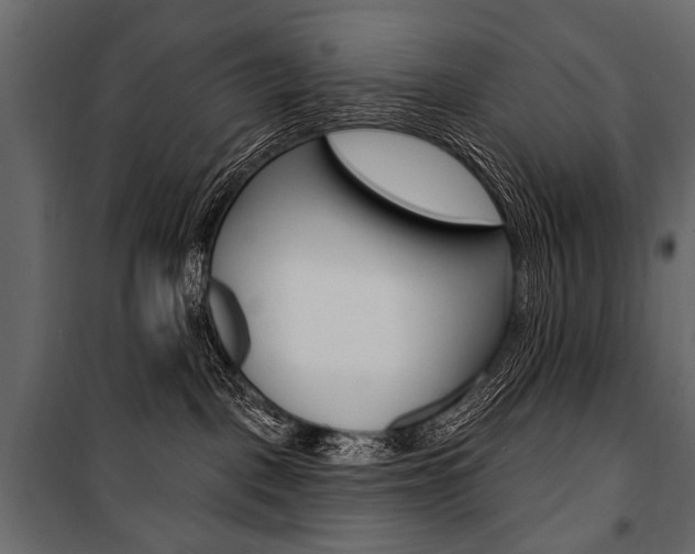 X0000100920093200806241124