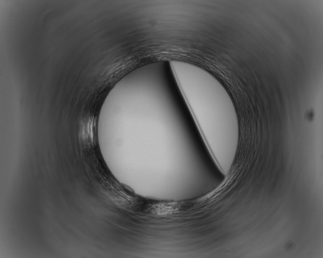 X0000100920094200806241124