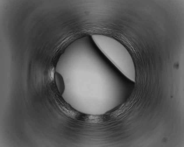 X0000100920095200806241124