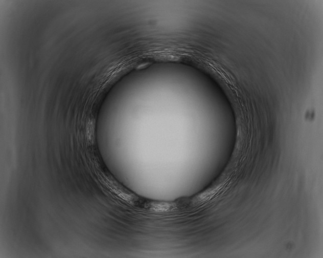 X0000100920096200806241124