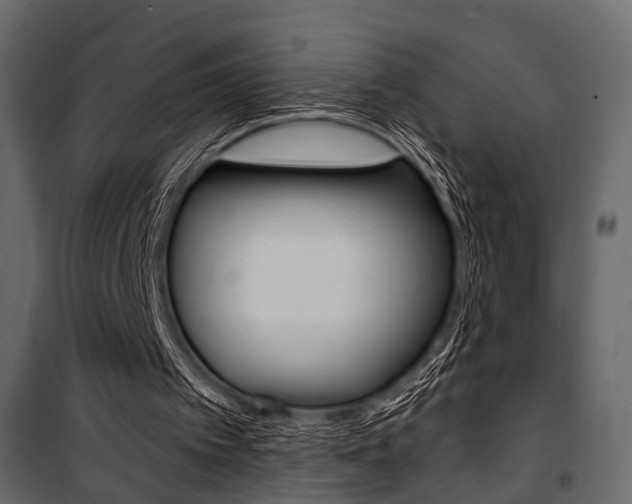 X0000100920097200806241123
