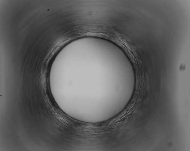 X0000100920098200806241123