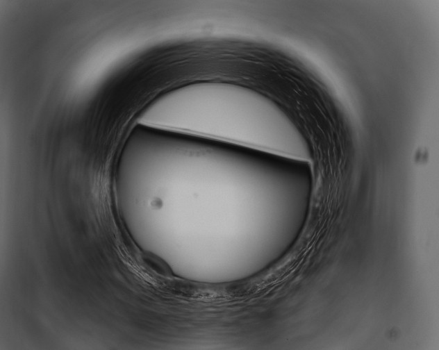 X0000100920099200806241123