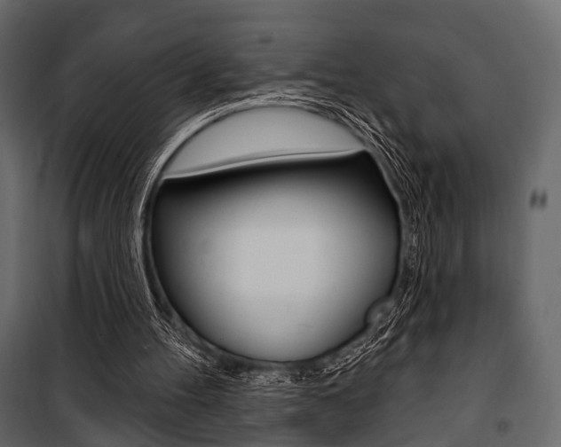 X0000100920100200806241123