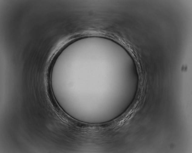 X0000100920103200806241123