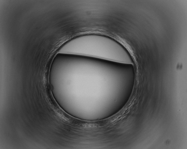 X0000100920105200806241123